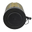 Колонка AK889 (Bluetooth/MicroSD/USB/FM/AUX) золото