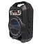 Колонка BS12 (Bluetooth/MicroSD/USB/FM/AUX) черная