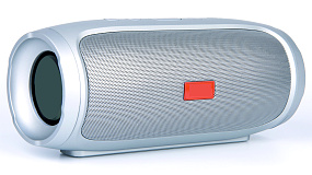 Колонка Charge 4 (Bluetooth/MicroSD/USB/FM/AUX) серая