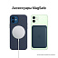 Смартфон Apple iPhone 12 256Gb синий