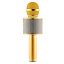 Микрофон WSTER WS-858 5W беспр/караоке золото